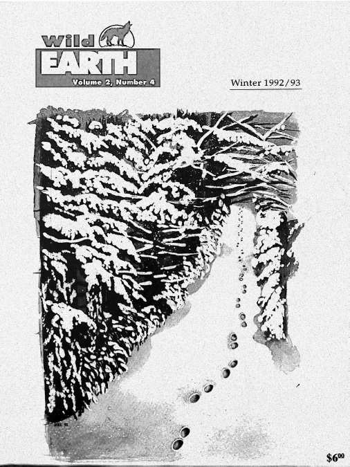 Wild Earth 2, no. 4 Cover